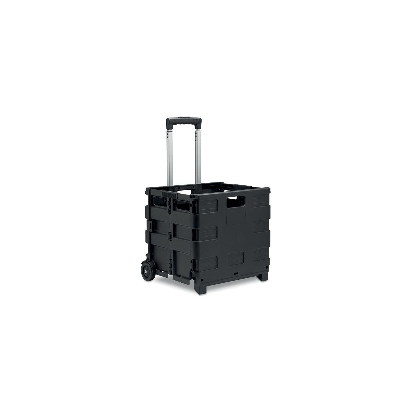 CARRO MO6746-03 item_picture_front
