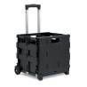 CARRO MO6746-03 item_picture_front
