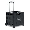 CARRO MO6746-03 item_picture_printed