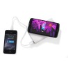 Powerbank DOUBLE 8000 mAh
